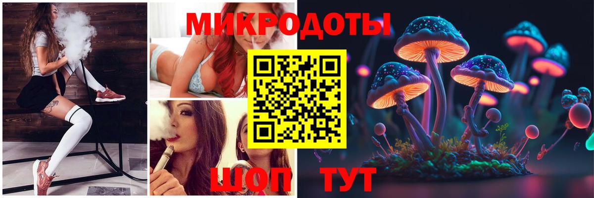 Псилоцибиновые грибы Psilocybine cubensis Боровичи